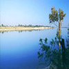 Zambezi River